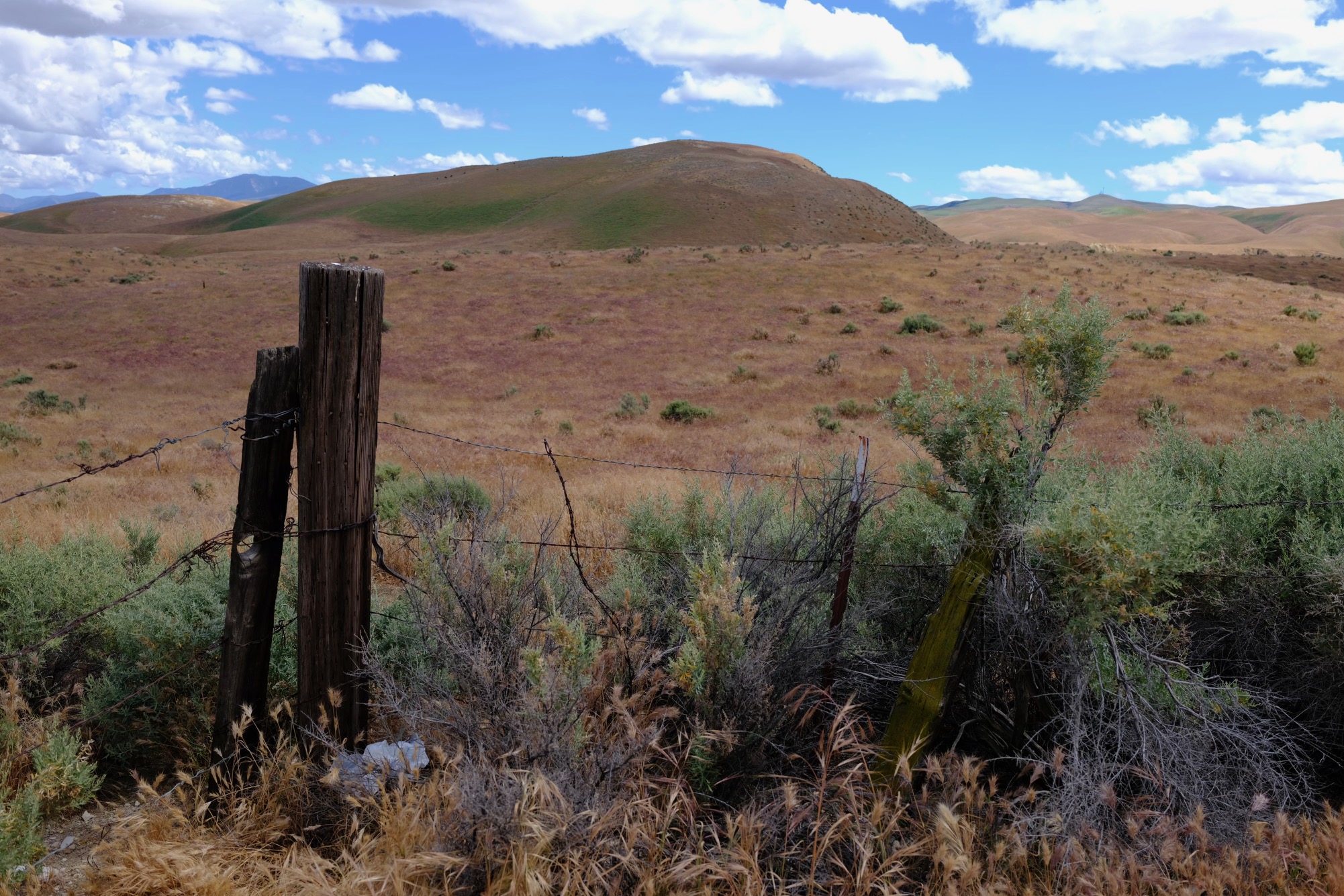 Thomas Labash - Springs and Seasons